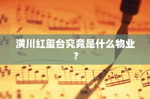 潢川红玺台究竟是什么物业？