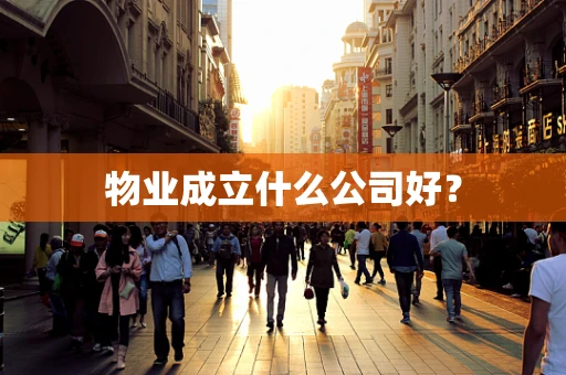 物业成立什么公司好？