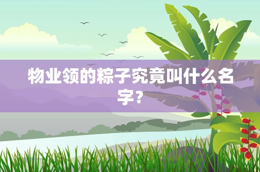 物业领的粽子究竟叫什么名字？