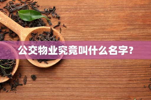 公交物业究竟叫什么名字？
