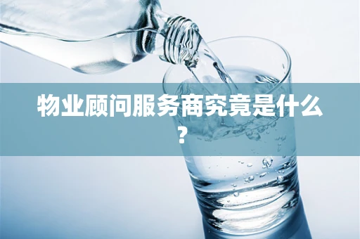 物业顾问服务商究竟是什么？