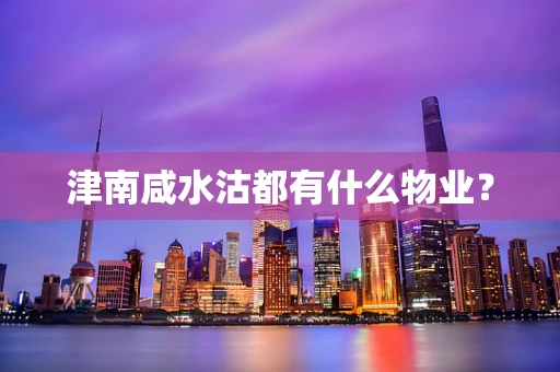 津南咸水沽都有什么物业？