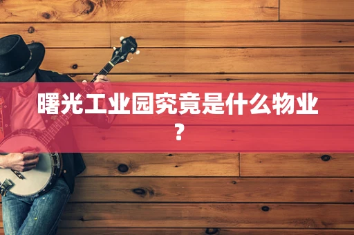 曙光工业园究竟是什么物业？