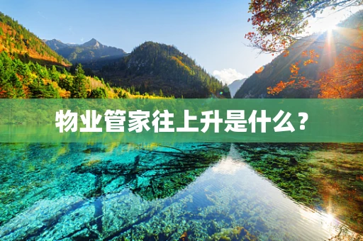 物业管家往上升是什么？