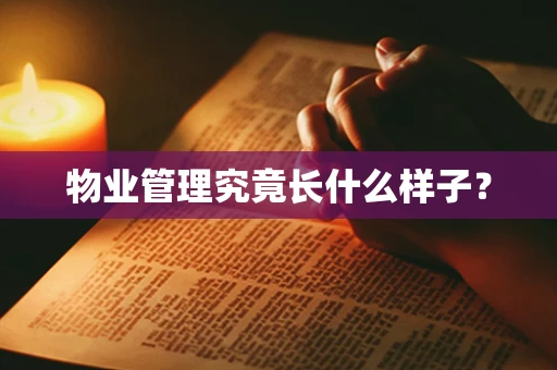 物业管理究竟长什么样子？