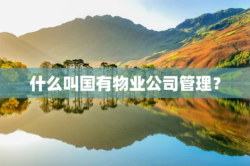 什么叫国有物业公司管理？