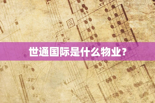世通国际是什么物业？